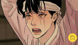 野画集漫画在线看完整,漫绘奇缘，在线畅享的视觉盛宴